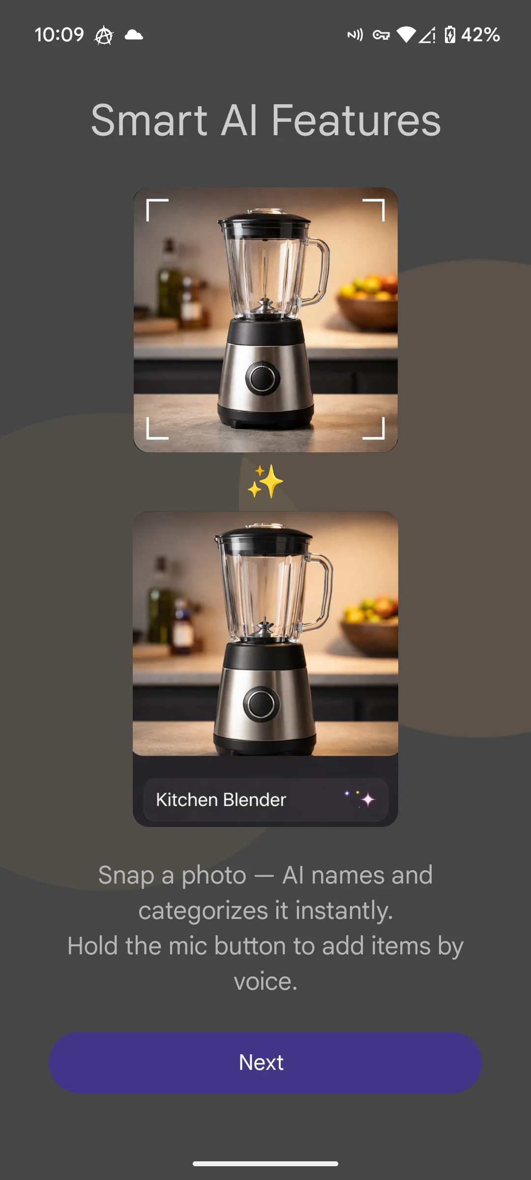 InventAI: Home Inventory AI screenshot